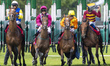 They are off in the 16:00 REDCAR - 1m 2f 1y Visit racingtv.com To Subscribe Today Novice S...