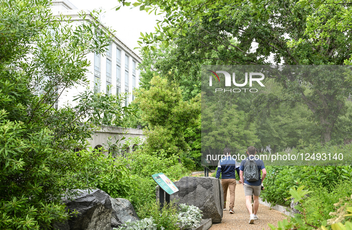 Daily Life In Washington D.C.