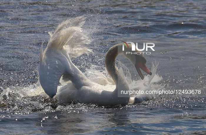 Rosenkällasjön Lake In Linköping, Sweden.