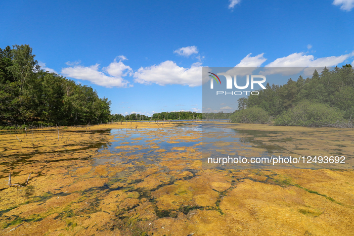 Rosenkällasjön Lake In Linköping, Sweden.