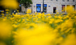 A man walks past a Bank Nowy S.A. branch in Warsaw, Poland on 24 June, 2025. 