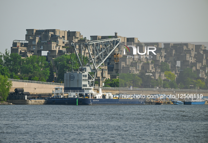 Daily Life In Montreal