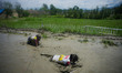 Students from different schools participate in Nepal's first-ever Inter-School Obstacle Co...