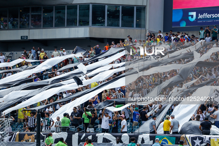 SE Palmeiras v Botafogo FR: Round Of 16 - FIFA Club World Cup 2025