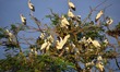 Similar photo #12537421
