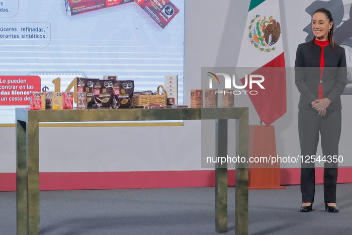 Mexico’s President Claudia Sheinbaum Holds News Conference