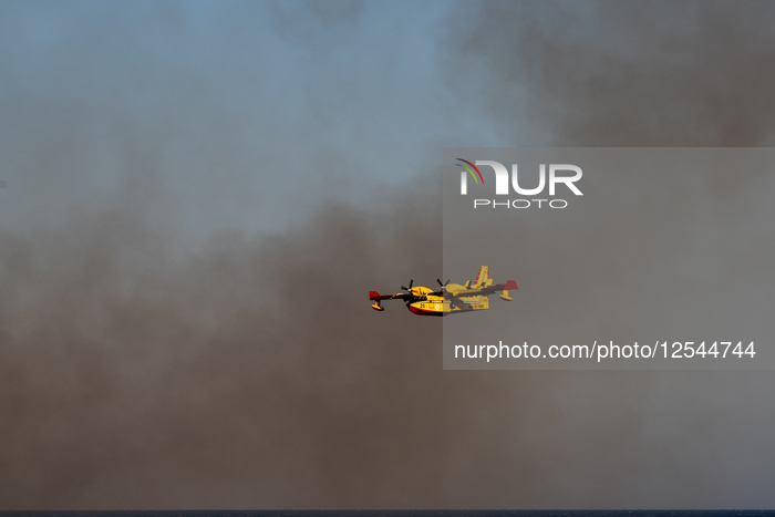 Wildfire Affects Mediterranean Scrub Near Otranto