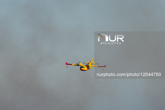 Wildfire Affects Mediterranean Scrub Near Otranto