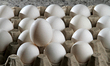 A tray of eggs is shown in Brampton, Canada, on July 11, 2025. 