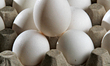A tray of eggs is shown in Brampton, Canada, on July 11, 2025. 