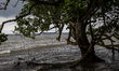 A view shows the sea waters contaminated by nickel mines in the village of Keurea near Ind...