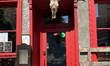 An animal skull is above the door of a bar in Old Quebec City, Quebec, Canada, on June 25,...
