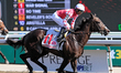 Jockey Patrick Husbands (11) leads on Winterberry at the beginning of the 70th running of...