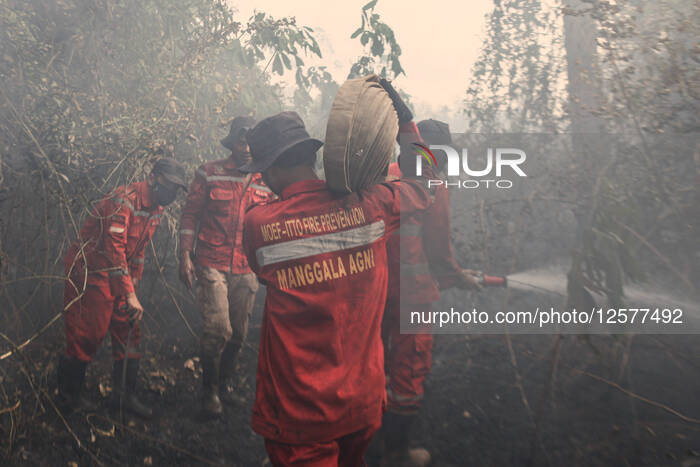 Forest Fire In Indonesia