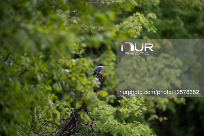 Wildlife At The Oxbow Nature Conservancy 
