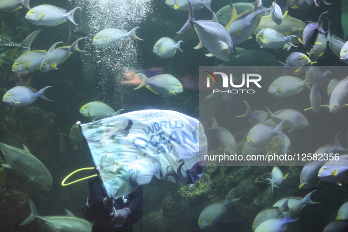 Sea World In Indonesia