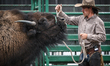 EDMONTON, CANADA - JULY 23:Southern Alberta cowboy and trainer Joel Lybbert with his buff...