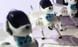 A general view shows robot dogs dancing at the China Mobile booth at the Shanghai New Expo...