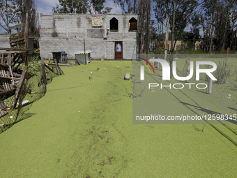 Homes are affected by the partial overflow of the La Cienega canal in Tlahuac, Mexico City, on July 29, 2025, which is exacerbated by low-ly... by Gerardo Vieyra/NurPhoto
