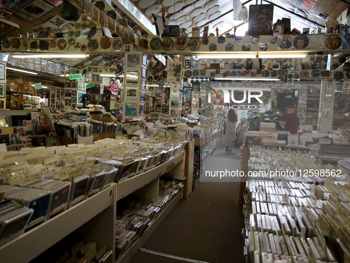 The Great House Of Guitars 