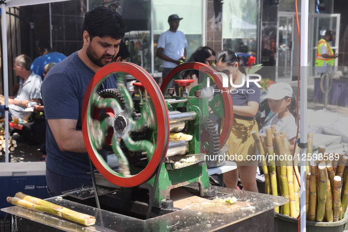 Festival Of South Asia