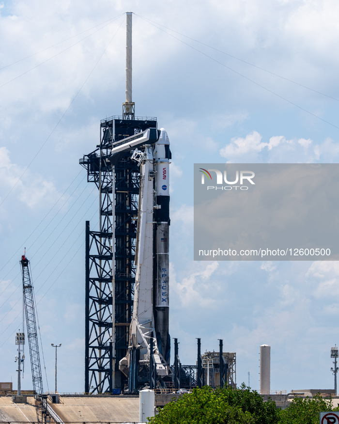 Falcon 9 And Dragon On The Launch Pad Before Crew-11