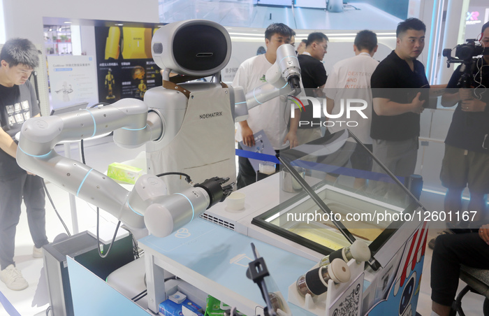 Robot Performance at 2025 WAIC in Shanghai