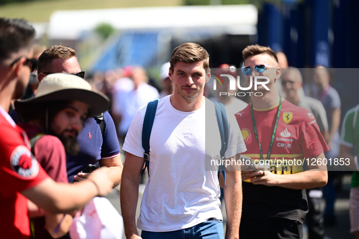 F1 Grand Prix of Hungary - Previews