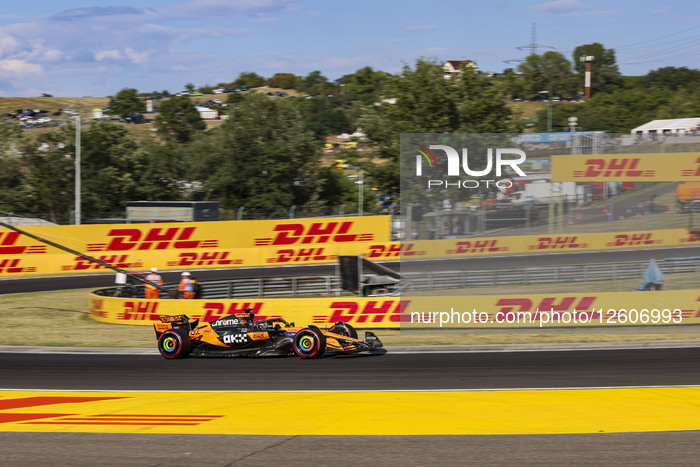 F1 Grand Prix Of Hungary - Practice Session