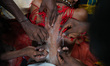 Devotees have threads and thorns tied to their bodies during the annual Theru festival in...