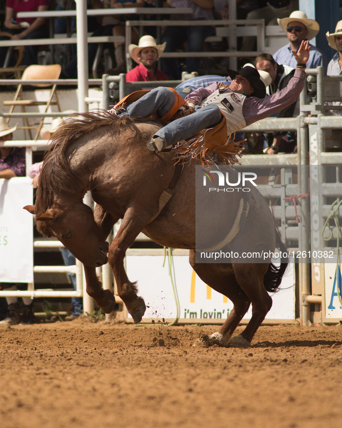 Arcadia All-Florida Championship Rodeo 