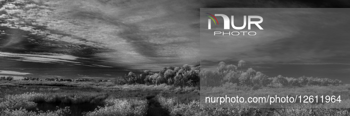 Merritt Island National Wildlife Refuge