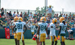Green Bay Packers wide receiver Mecole Hardman interacts with fans during NFL training cam...