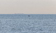 A small rubber boat with migrants leaves the French coast with a tanker large ship in the...