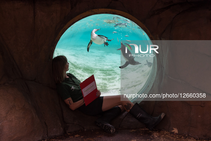 Annual Weigh-in At London Zoo