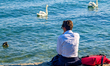 A woman sits on the lakeside promenade with a red bag beside her while watching swans and...