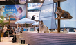 The InZoi booth is seen at the Cologne trade fair center during the opening day of Gamesco...