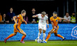 Poland defender Matty Cash, Netherlands forward Cody Gakpo, and Netherlands defender Micky...
