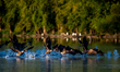 Canada geese take flight during the morning hours at the Oxbow Nature Conservancy in Lawre...