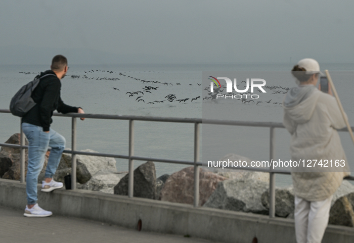 Daily Life In Gdansk