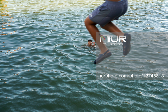 Youth Gather At Rijnhaven Harbor Quay And Enjoying Jumping Into The Water