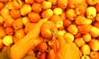 Mohammad Qasim Dar, 60, a Kashmiri farmer, sorts apples during the harvest season at an or...