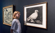 LONDON, UNITED KINGDOM - SEPTEMBER 15, 2025: A gallery staff looks at "Dove", 1949, by Pab...