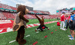 On September 20, 2025, in Madison, Wisconsin, USA, Bucky Badger shows Testudo a headstand...