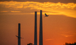 Great egrets are seen in flight as pollution and steam rise from the stacks of the Miami F...