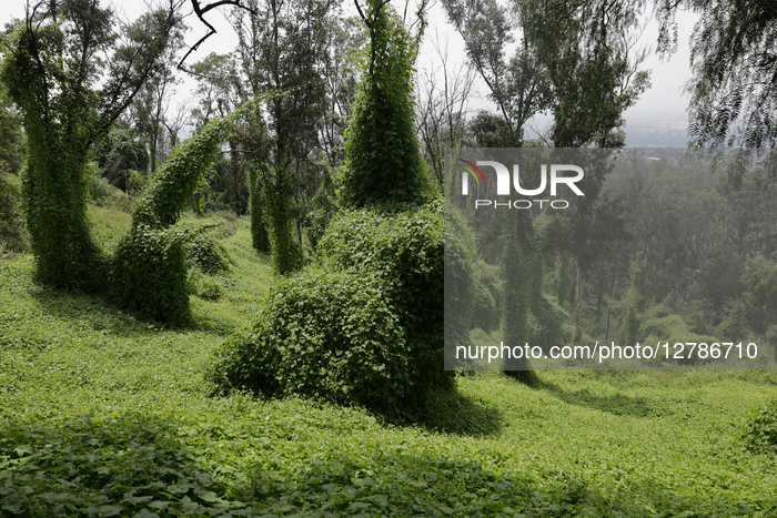 Autumn Equinox 2025 In Mexico