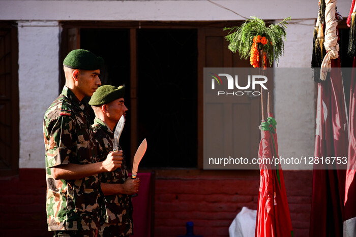 Goat Sacrifice During Dashain Festival In Nepal