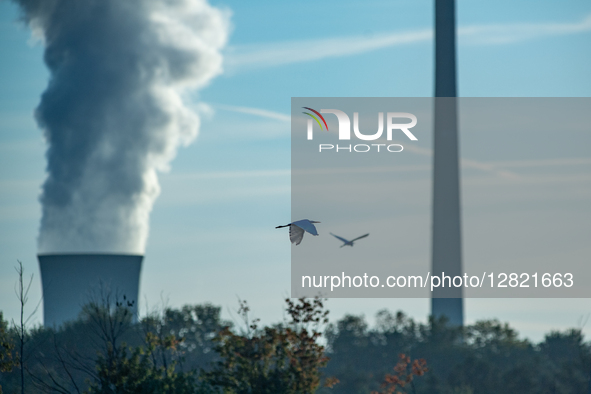 Pollution and steam rise from the stacks of the Miami Fort Power Station near Cincinnati, Ohio, on October 2, 2025.  by Jason Whitman/NurPhoto
