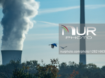 Pollution and steam rise from the stacks of the Miami Fort Power Station near Cincinnati, Ohio, on October 2, 2025.  by Jason Whitman/NurPhoto