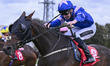 TETSWORTH, ridden by Ryan Sexton and trained by Miss Julie A Camacho, participates in Race...